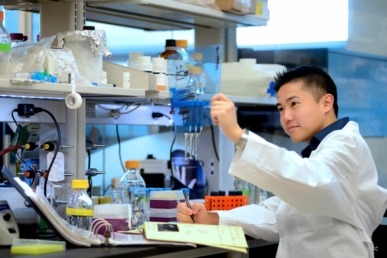 Research Areas