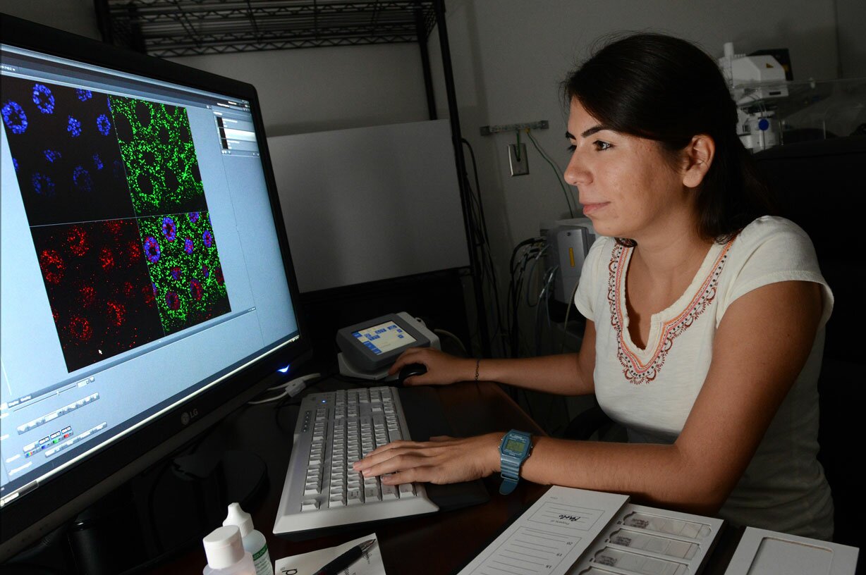 PhD Program