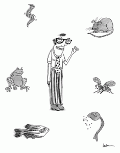 Cross-species approach